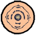 Dayanand Arya Kanya Mahavidyalaya - DAKM