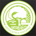 Bapu Nature Cure Hospital and Yogashram - BNCHY